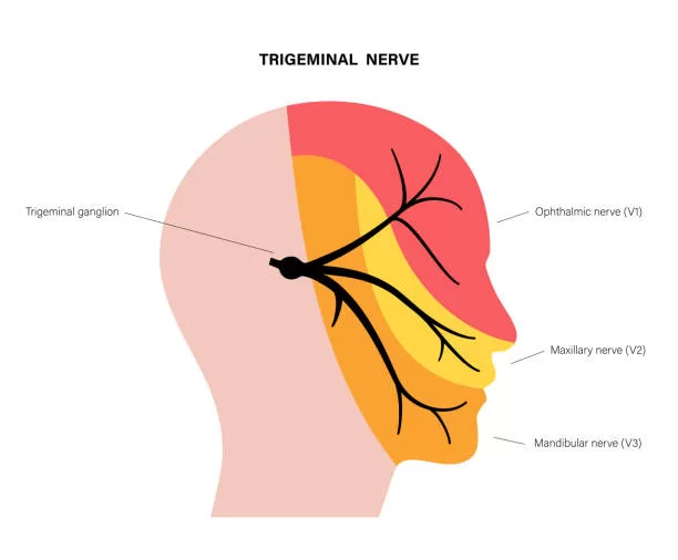 ¿Por qué el especialista en neuralgia del trigémino es clave en su diagnóstico?
