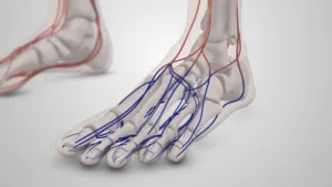 tratamiento para dolor de huesos y articulaciones